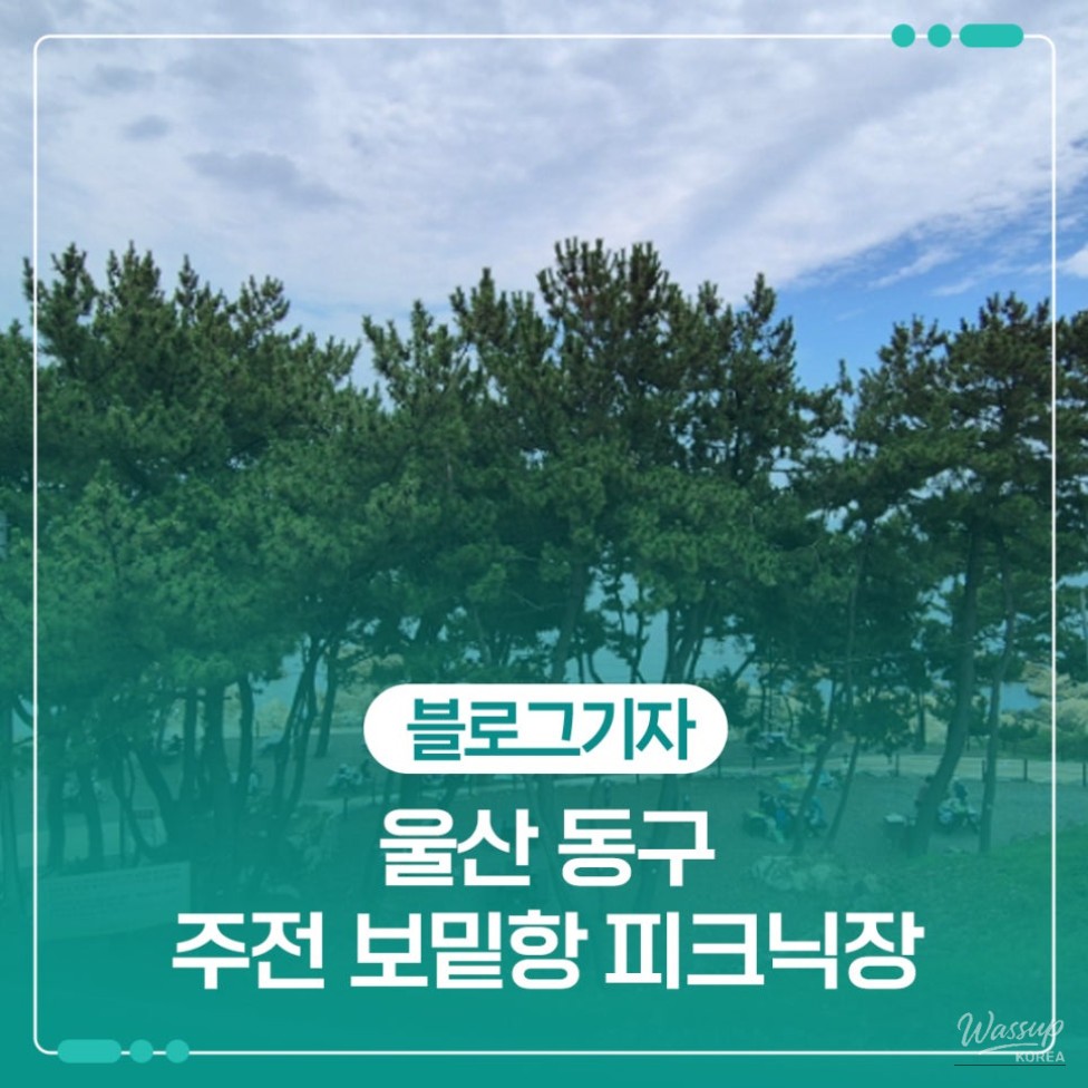 Enjoying a Free Picnic at Jujeon Bomit Port in Ulsan_01