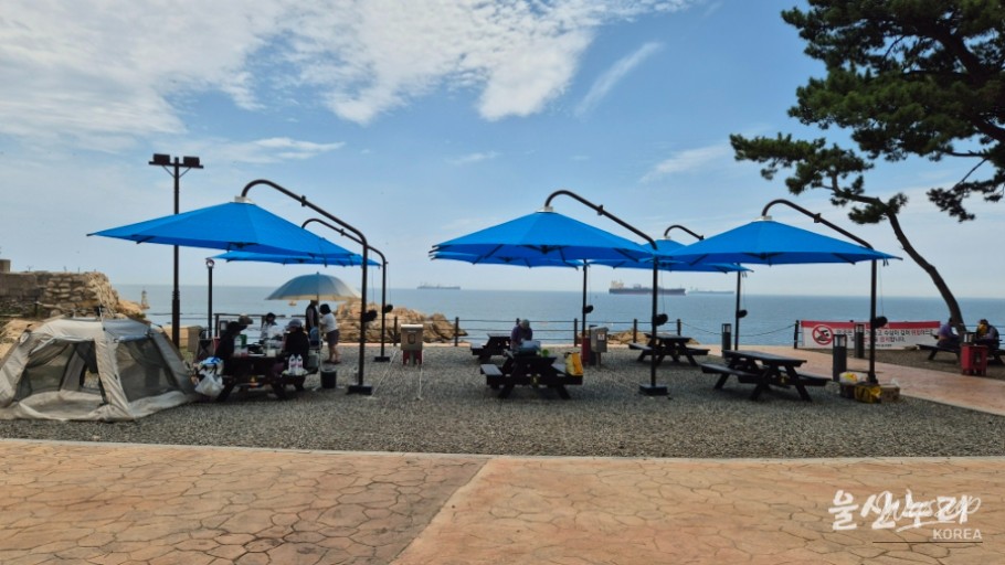 Enjoying a Free Picnic at Jujeon Bomit Port in Ulsan_13