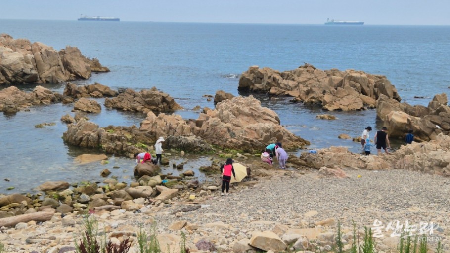 Enjoying a Free Picnic at Jujeon Bomit Port in Ulsan_21