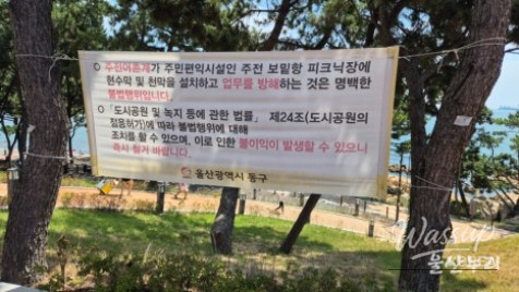 Enjoying a Free Picnic at Jujeon Bomit Port in Ulsan_10