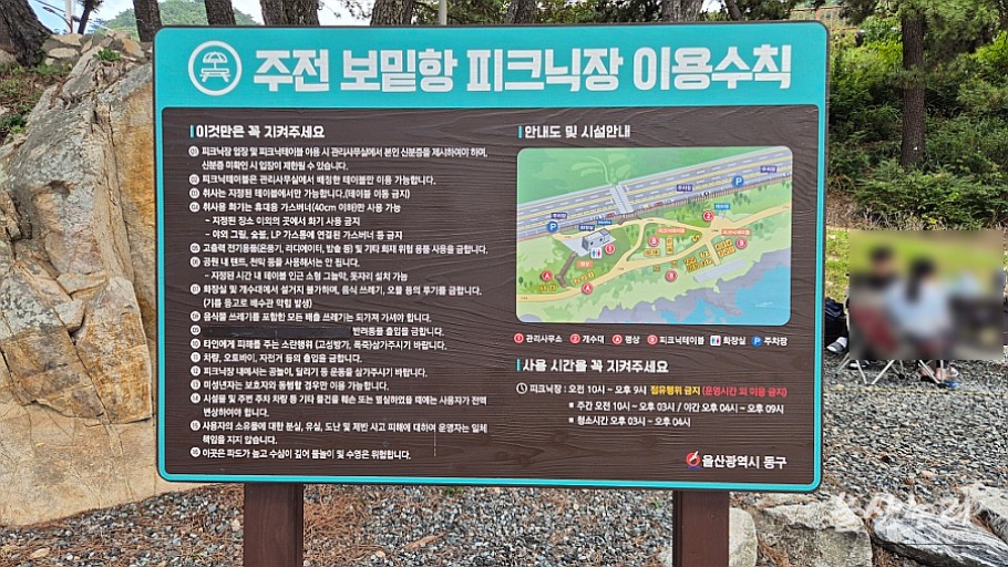 Enjoying a Free Picnic at Jujeon Bomit Port in Ulsan_08