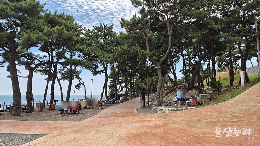 Enjoying a Free Picnic at Jujeon Bomit Port in Ulsan_14