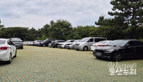 Enjoying a Free Picnic at Jujeon Bomit Port in Ulsan_04