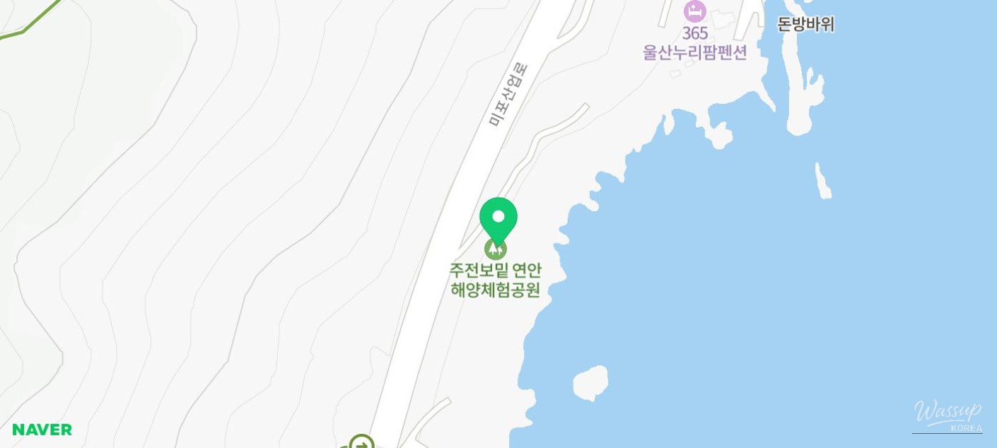 Enjoying a Free Picnic at Jujeon Bomit Port in Ulsan_22
