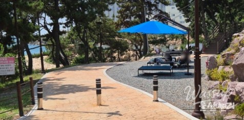 Enjoying a Free Picnic at Jujeon Bomit Port in Ulsan_16