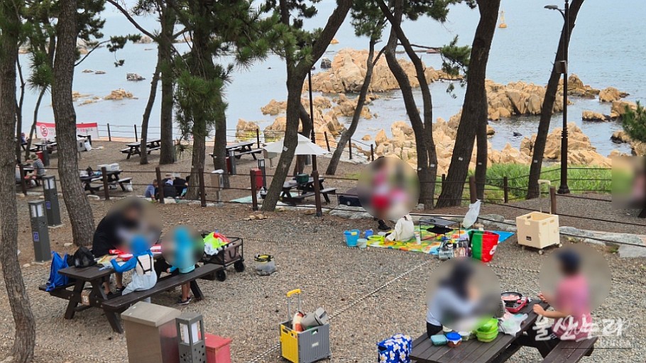 Enjoying a Free Picnic at Jujeon Bomit Port in Ulsan_15