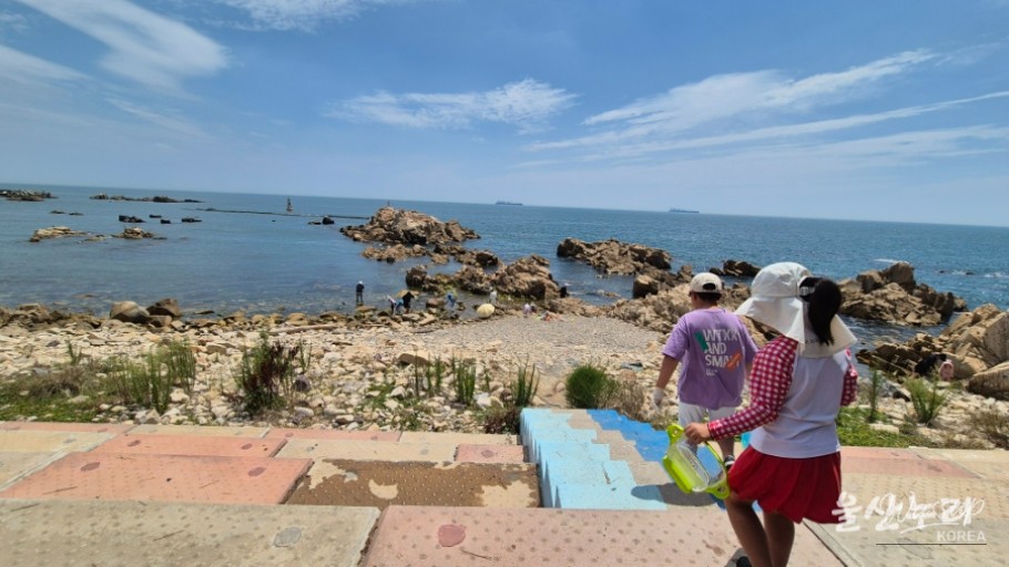 Enjoying a Free Picnic at Jujeon Bomit Port in Ulsan_19