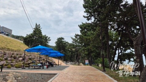 Enjoying a Free Picnic at Jujeon Bomit Port in Ulsan_17