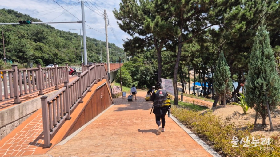 Enjoying a Free Picnic at Jujeon Bomit Port in Ulsan_11