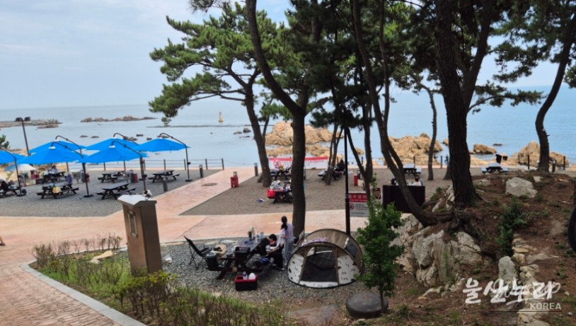 Enjoying a Free Picnic at Jujeon Bomit Port in Ulsan_12