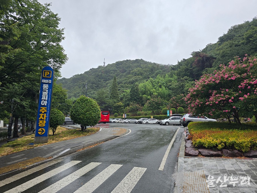 Exploring Taehwa River Cave Pia: A Historical Experience_02