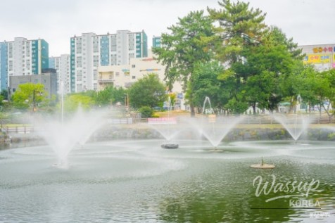 Exploring Maegok Park in Ulsan_06