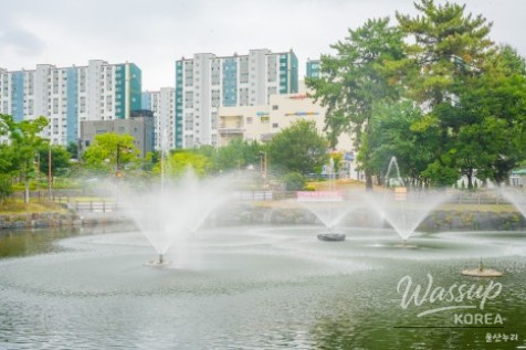 Exploring Maegok Park in Ulsan_05