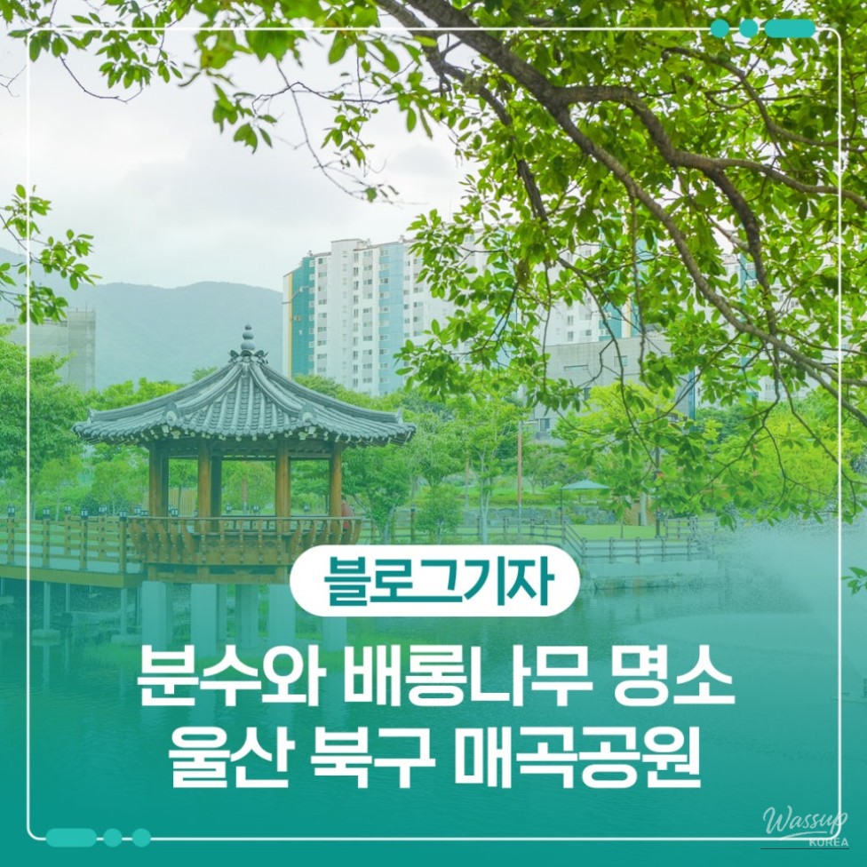 Exploring Maegok Park in Ulsan_01