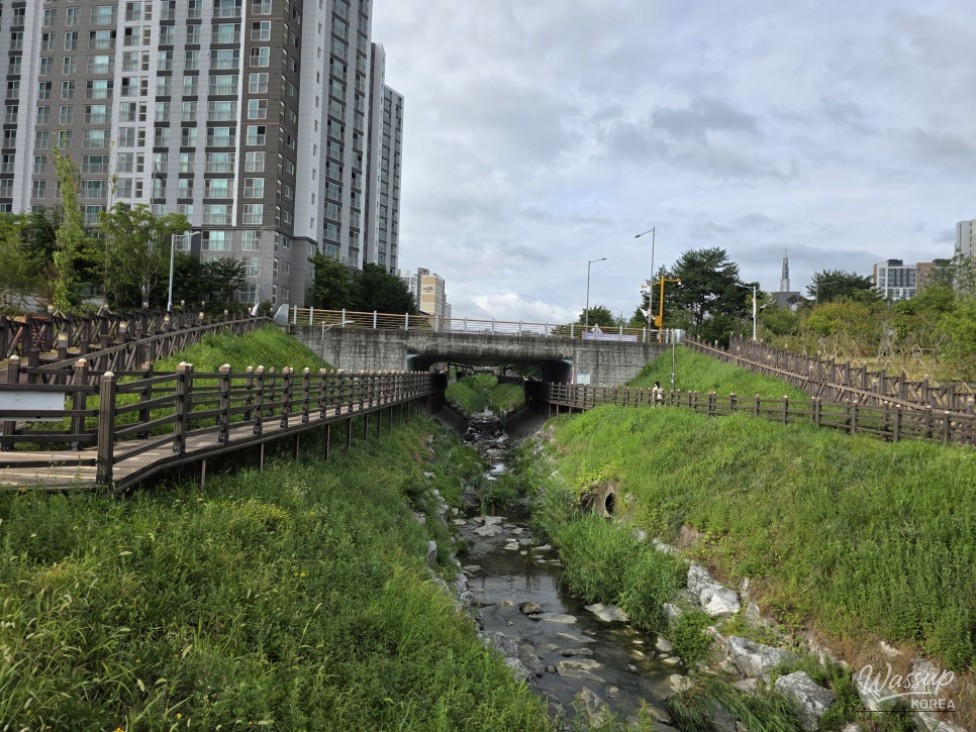 Exploring the Tranquil Daehwa Park in Jincheon_03