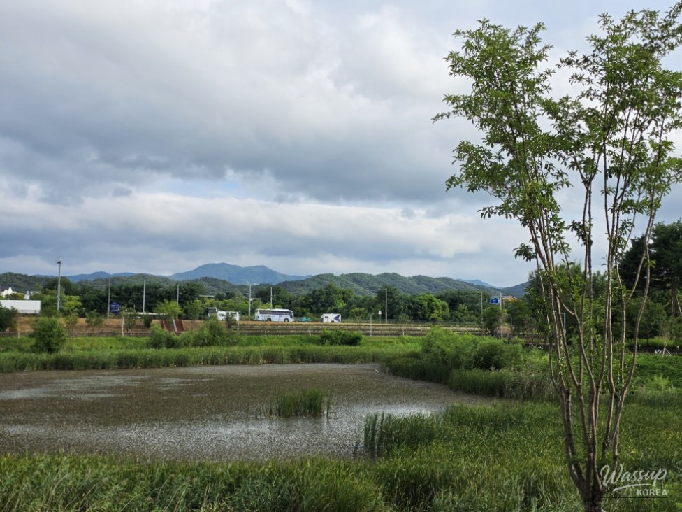 Exploring the Tranquil Daehwa Park in Jincheon_05