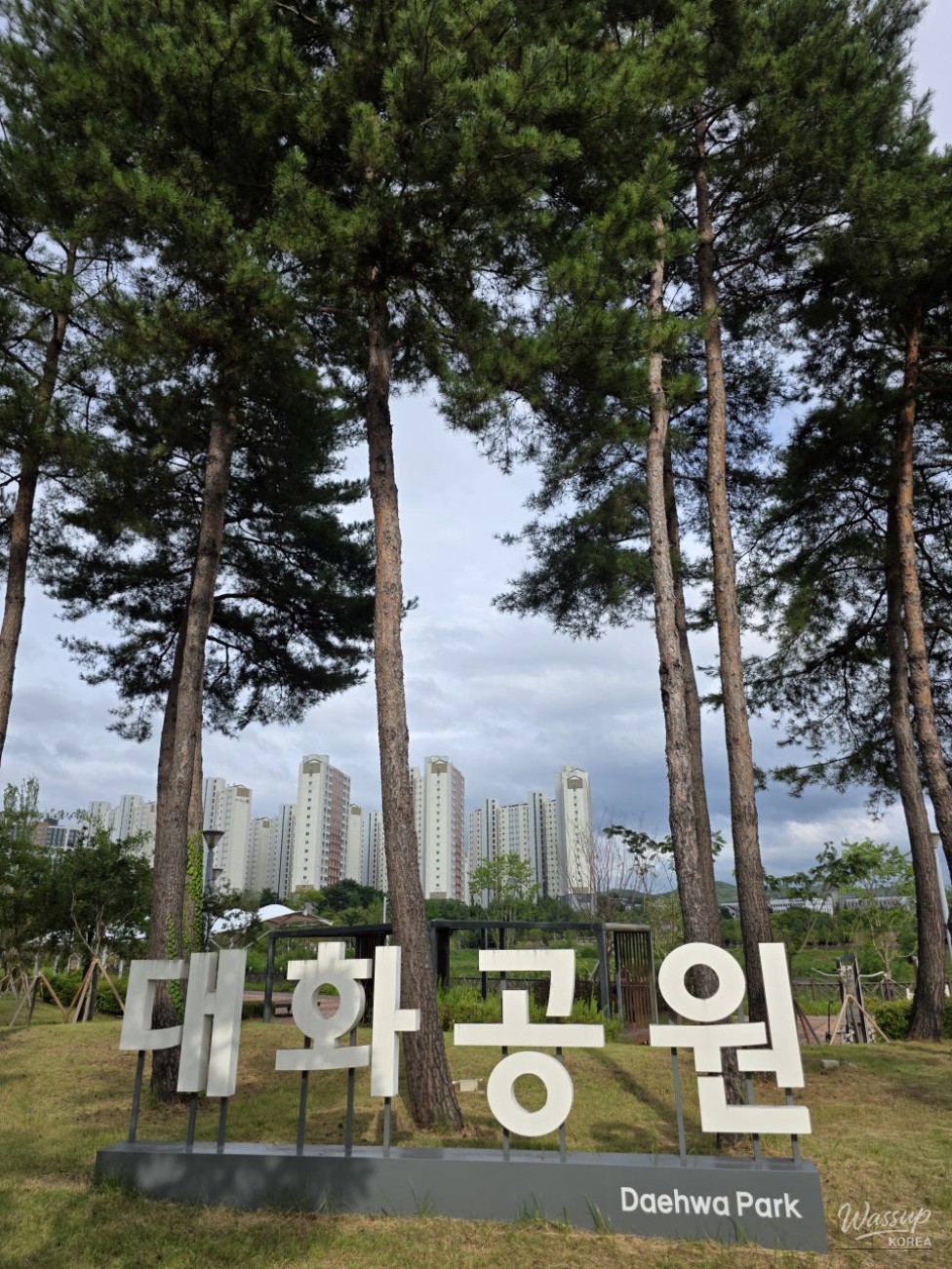 Exploring the Tranquil Daehwa Park in Jincheon_02