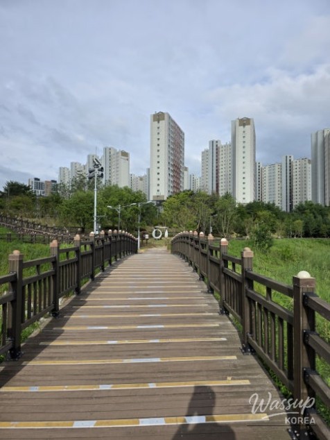 Exploring the Tranquil Daehwa Park in Jincheon_04