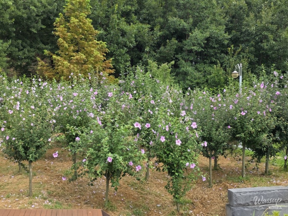 Discovering the Serenity of Durebong Park in Jincheon_04