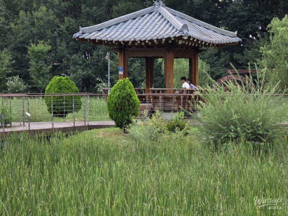 Discovering the Serenity of Durebong Park in Jincheon_02