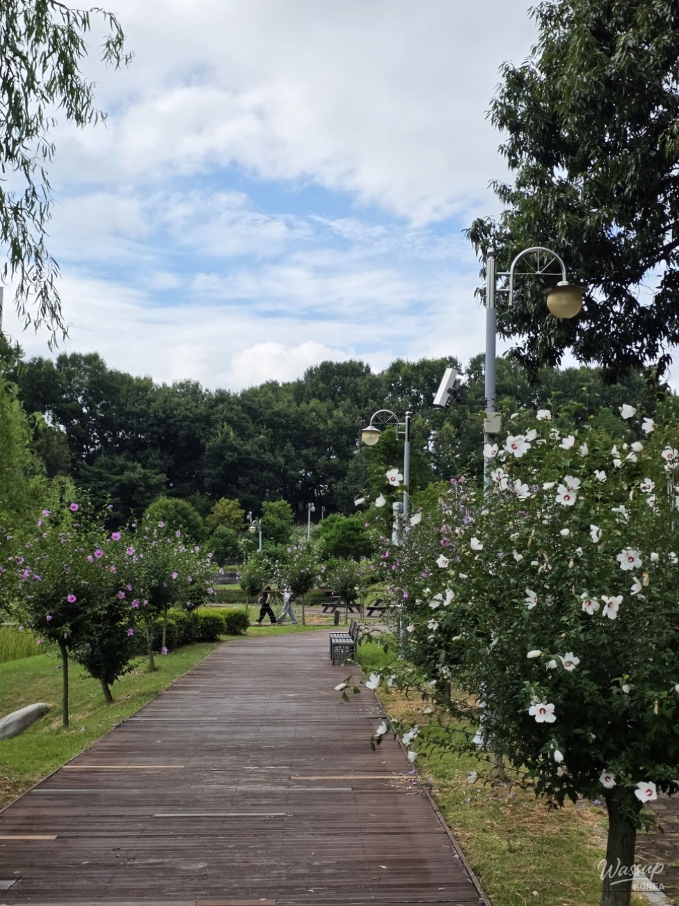 Discovering the Serenity of Durebong Park in Jincheon_03
