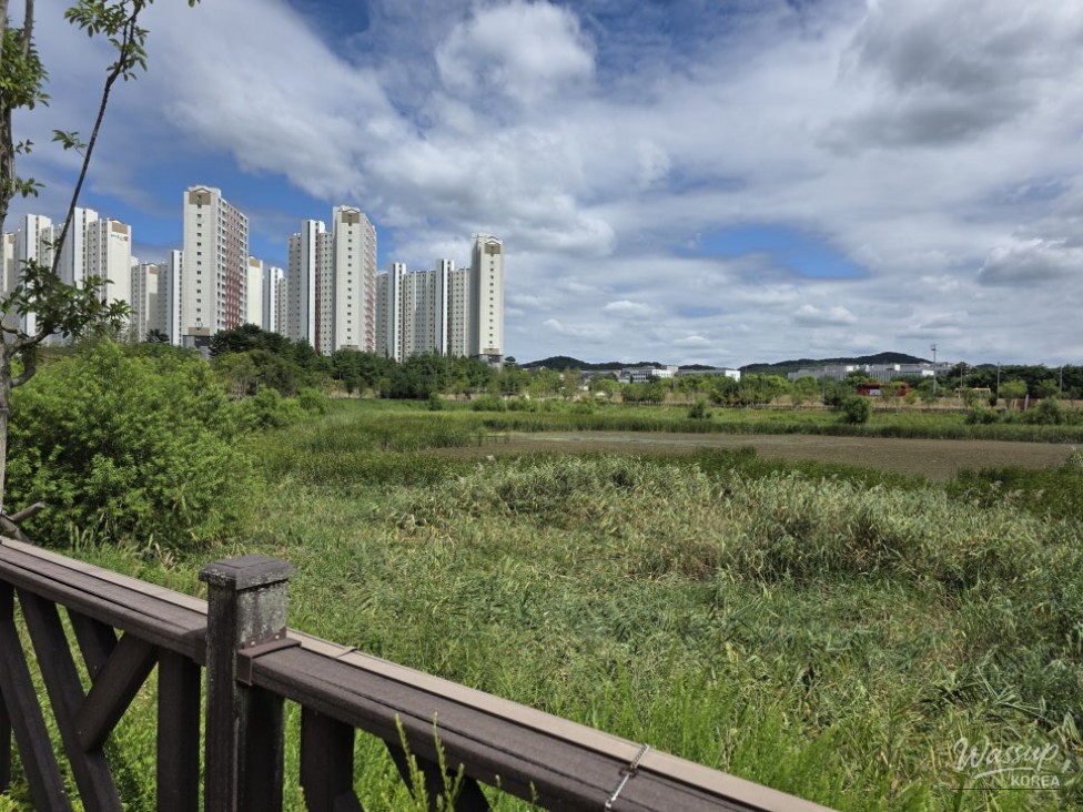 Discovering Jincheon Daehwa Park: A Natural Retreat_07