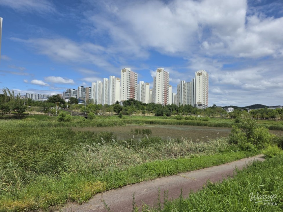 Discovering Jincheon Daehwa Park: A Natural Retreat_14