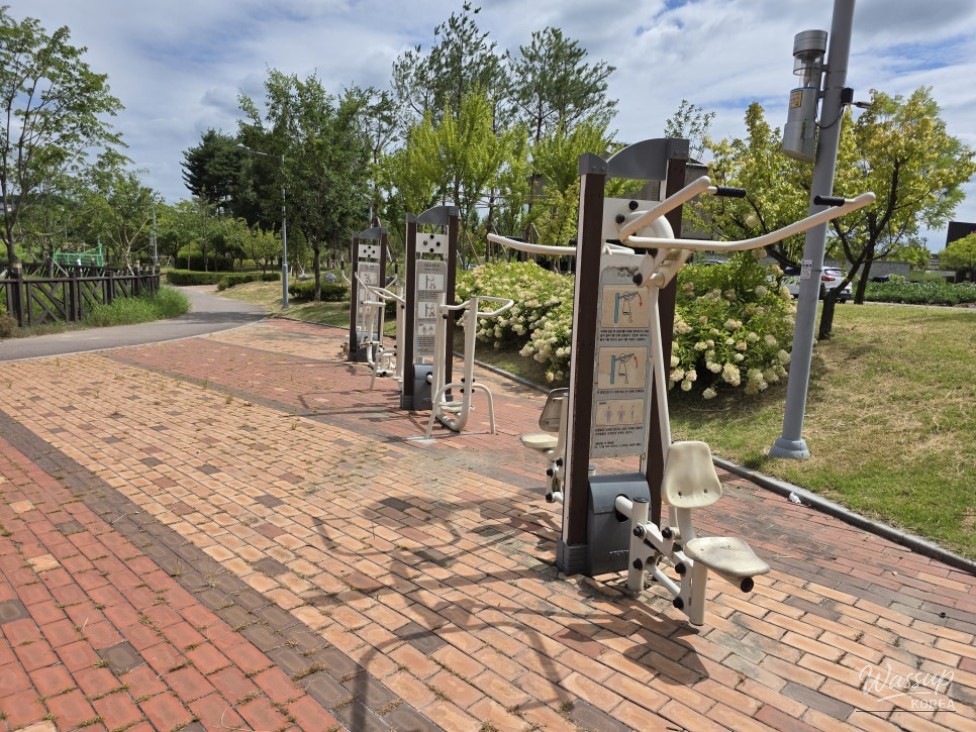 Discovering Jincheon Daehwa Park: A Natural Retreat_11