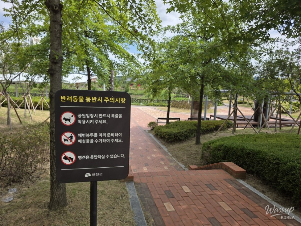 Discovering Jincheon Daehwa Park: A Natural Retreat_05