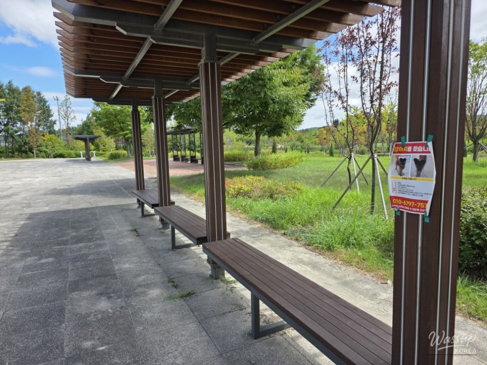 Discovering Jincheon Dolsil Park: A Family-Friendly Retreat_06
