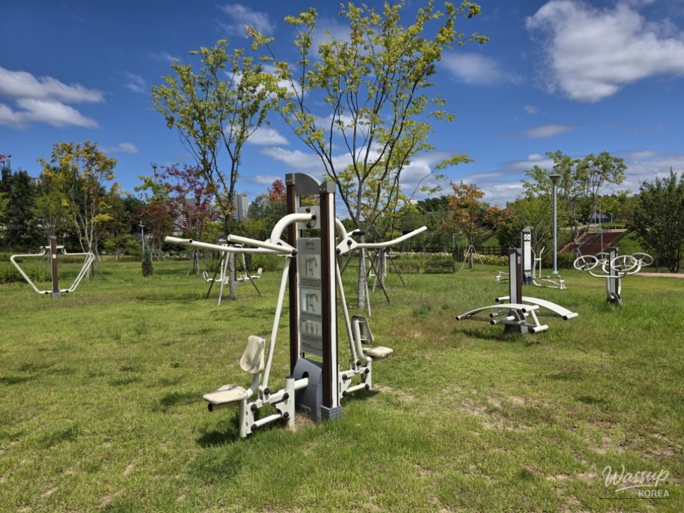 Discovering Jincheon Dolsil Park: A Family-Friendly Retreat_10