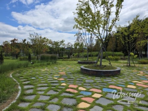 Discovering Jincheon Dolsil Park: A Family-Friendly Retreat_08