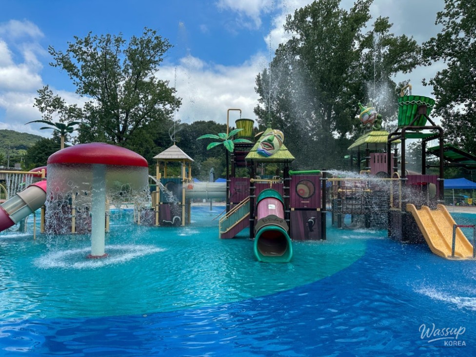 Enjoy Summer Fun at Baekgokcheon Water Park_13