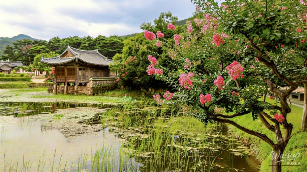 Exploring Seochulji: A Hidden Gem in Gyeongju_02