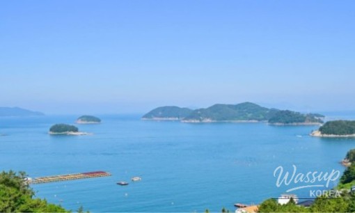 Exploring Seochulji: A Hidden Gem in Gyeongju_05