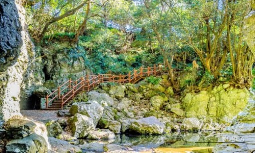 Exploring Seochulji: A Hidden Gem in Gyeongju_07