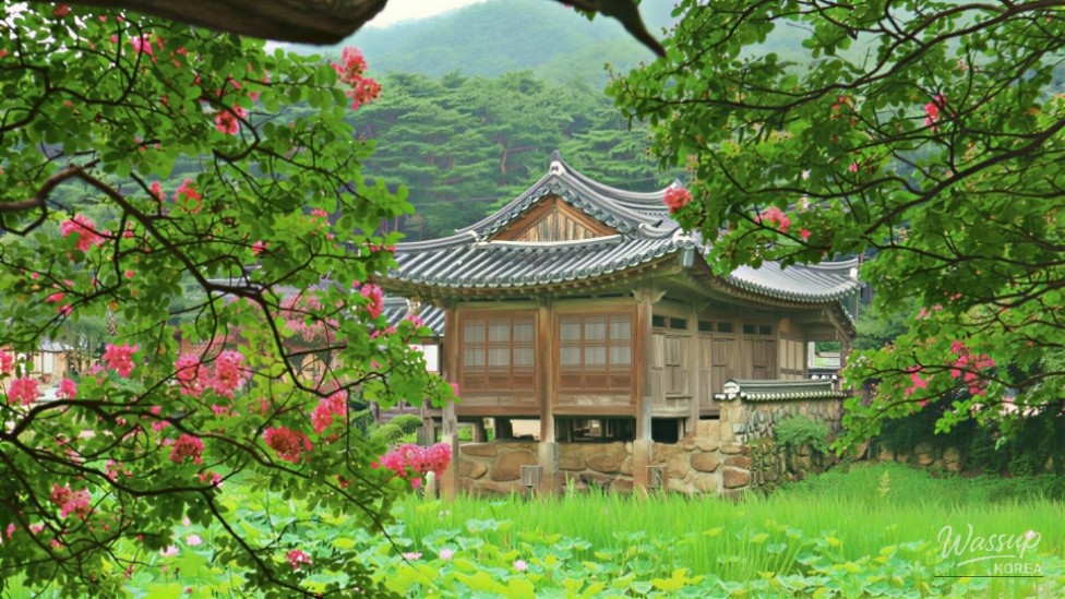 Exploring Seochulji: A Hidden Gem in Gyeongju_01
