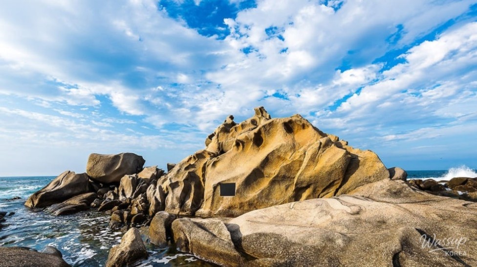 Discovering the Hidden Gem of Sodora Dulbawi Park on the East Coast_03