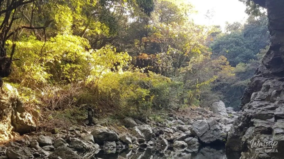 Discovering the Cool Oasis of Andeok Valley in Jeju_02