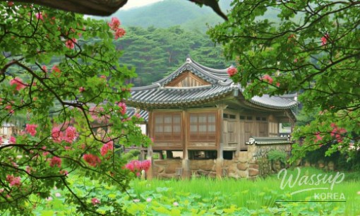 Discovering the Cool Oasis of Andeok Valley in Jeju_06
