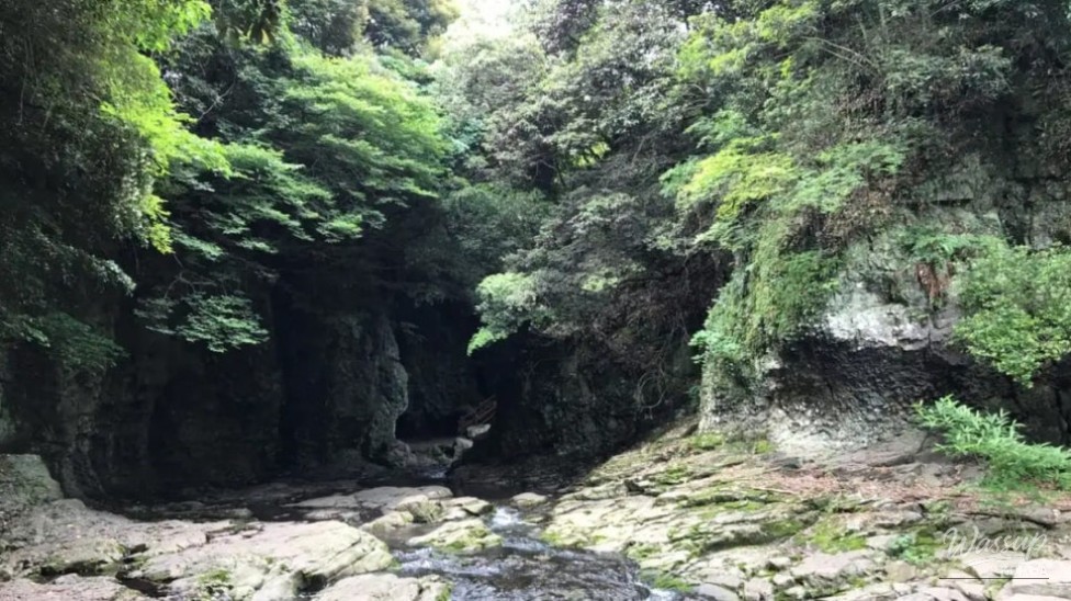 Discovering the Cool Oasis of Andeok Valley in Jeju_03