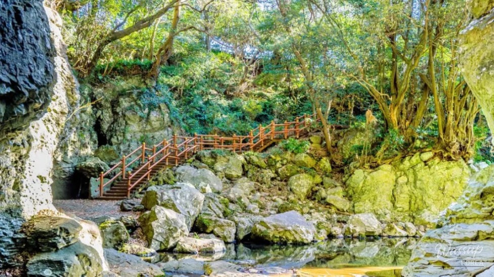 Discovering the Cool Oasis of Andeok Valley in Jeju_01