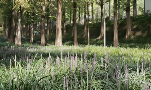 Discovering the National Baekdudaegan Arboretum: A Summer Retreat in Nature_07