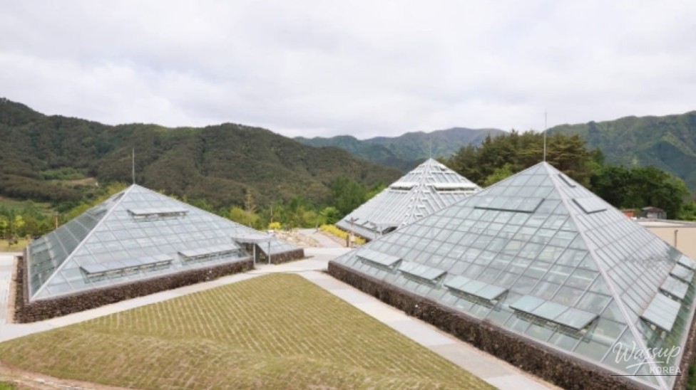 Discovering the National Baekdudaegan Arboretum: A Summer Retreat in Nature_02