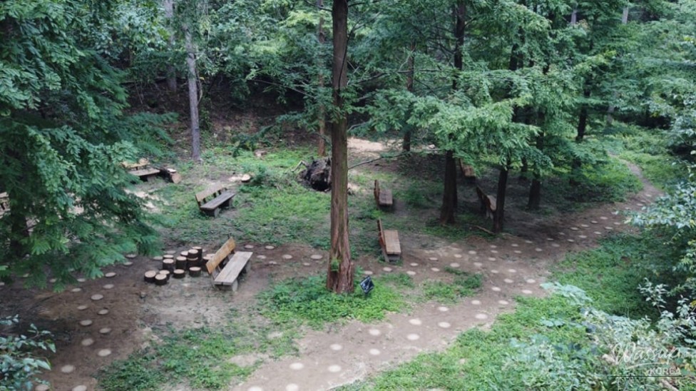 Discovering the National Baekdudaegan Arboretum: A Summer Retreat in Nature_05