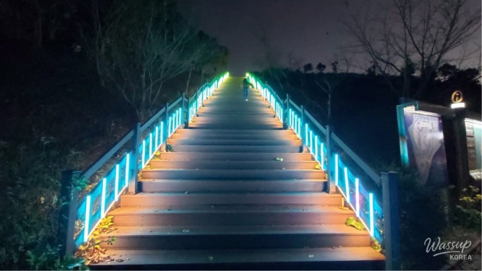 Exploring Jeju's Starry Night: A Family-Friendly Destination_01