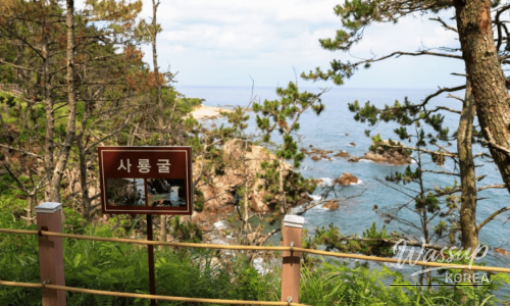 Exploring Jeju's Starry Night: A Family-Friendly Destination_06