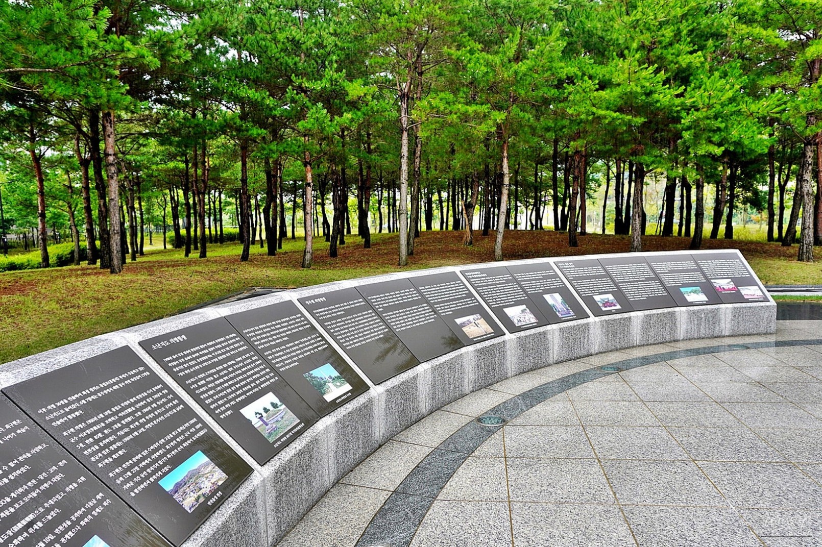 Celebrating the 81st Liberation Day in Korea_16