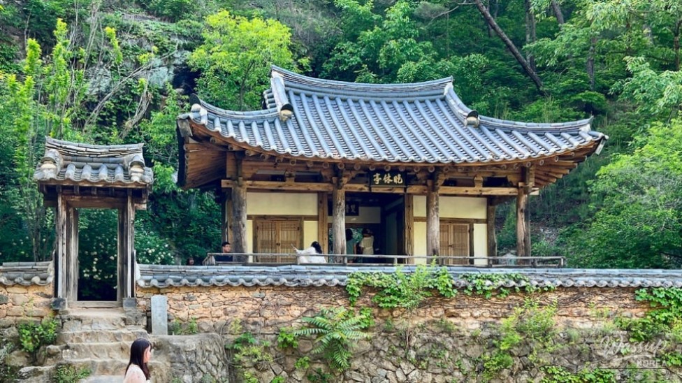 Discovering the Serenity of Manhyujeong in Andong_03