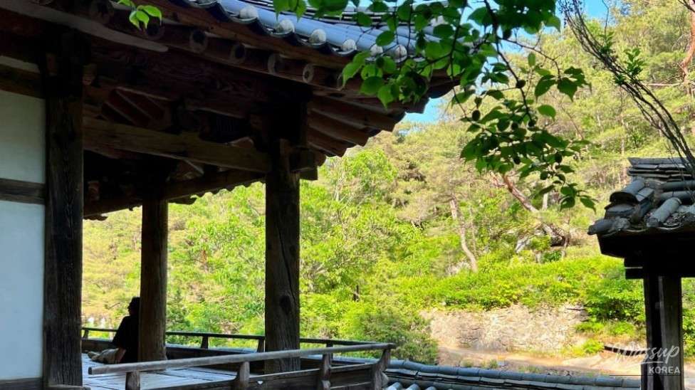 Discovering the Serenity of Manhyujeong in Andong_05